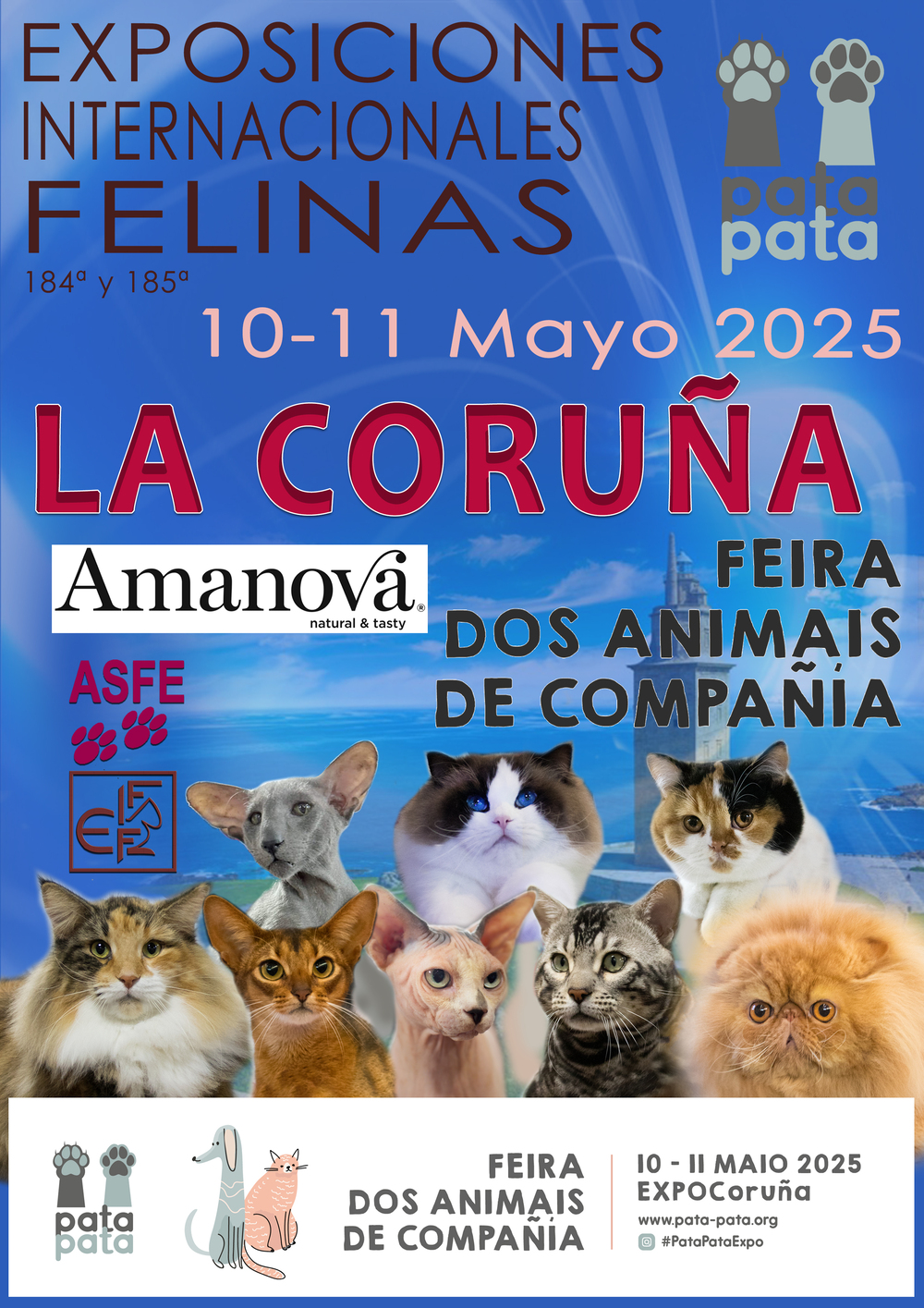 Cartel de la Exposicion