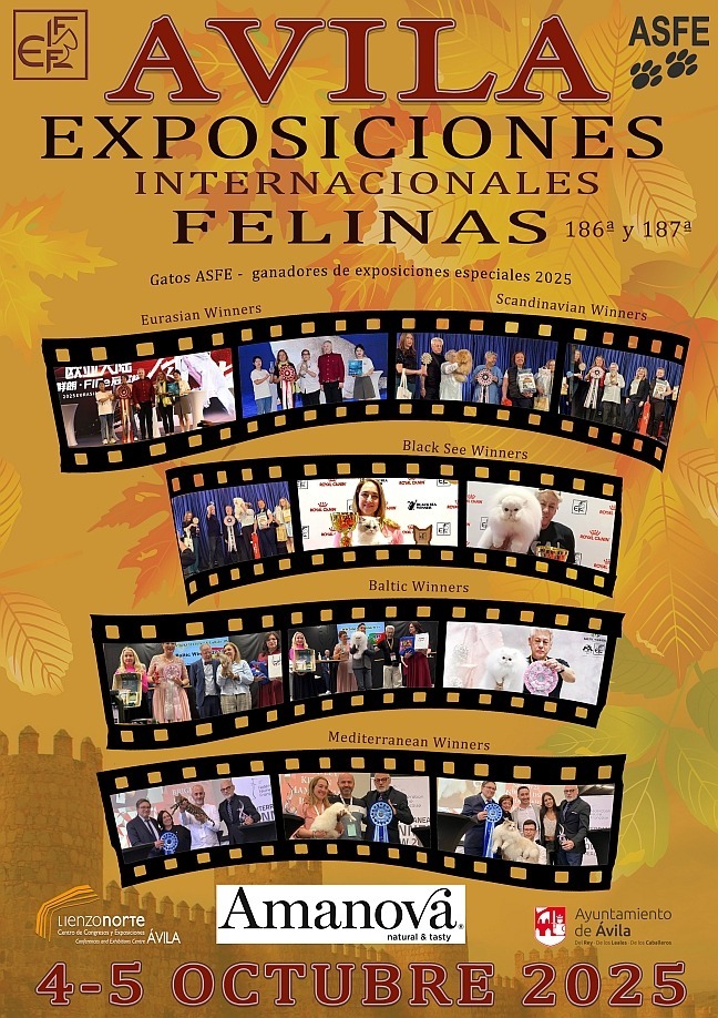 Cartel de la Exposicion